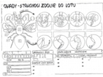 Klasa 6 - Owady - karta pracy