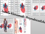 Notatka okienkowa „Budowa serca”. Biologia 7. „Układ krwionośny”