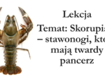 Klasa 6 - Skorupiaki - prezentacja
