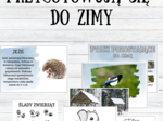 Zestaw ZWIERZĘTA PRZYGOTOWUJĄ SIĘ DO ZIMY