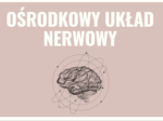 Ośrodkowy układ nerwowy 3 KLASA ROZSZERZENIE BIOLOGIA