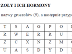 Gruczoły i ich hormony