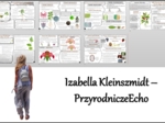 Zestaw sketchnotek/notatek/streszczeń/wklejek/ściąg dla ucznia i nauczyciela w pdf. Biologia 5 dział „Tkanki i organy roślinne”. Notatki zostały wykonane na podstawie podręcznika z wydawnictwa WSiP.