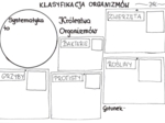 Klasyfikacja organizmów (karta pracy)