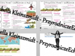 Minizestaw na temat „Wulkanizm i trzęsienia ziemi w Azji„ – sketchnotka + karta pracy w power point + gratisowy link do prezentacji multimedialnej niekomercyjnej wykonanej w genial.ly do indywidualnego pobrania i użycia do celów niekomercyjnych. Geografi
