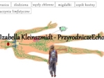 Materiał do zalaminowania/praca w grupach/puzzle/układanka. „Układ limfatyczny” w pdf. Biologia 7, dział „Układ krążenia”.