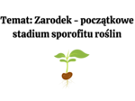 nasiono + korzeń KLASA 2 BIOLOGIA ROZSZERZONA