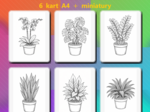ROŚLINY DONICZKOWE - kolorowanka edukacyjna - (PDF A4, 7 stron: 6 roślin + miniatury) - przyroda/biologia