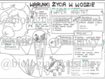 Klasa 4 -Warunki życia w wodzie - sketchnotka
