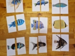 Układanka Montessori - Ryby