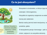 Prezentacja multimedialna. Różne ekosystemy (las, jezioro, góry). Zależności między organizmami