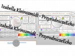 Minizestaw na temat „Odczyn roztworu, wskaźniki kwasowo-zasadowe” – sketchnotka + karta pracy w power point + gratisowy link do prezentacji multimedialnej niekomercyjnej wykonanej w genial.ly do indywidualnego pobrania i użycia do celów niekomercyjnych. 