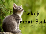 Ssaki - klasa 6 - prezentacja