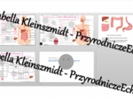 Minizestaw na temat „Budowa i rola układu pokarmowego” – sketchnotka + karta pracy w power point + gratisowy link do prezentacji multimedialnej niekomercyjnej wykonanej w genial.ly do indywidualnego pobrania i użycia do celów niekomercyjnych. Biologia 7,