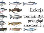 Klasa 6 - Ryby - prezentacja