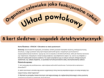 Zagadki detektywistyczne - stacje dydatktyczne Organizm człowieka jako funkcjonalna całość + Układ powłokowy