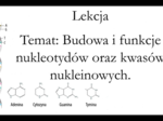 Klasa 1 (rozszerzenie) - Budowa i funkcje nukleotydów oraz kwasów nukleinowych - prezentacja