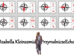 Puzzle/układanka/praca w grupach do zalaminowania. "Kierunki geograficzne", "Poznajemy warsztat przyrodnika ". Przyroda 4 "Określamy kierunki geograficzne"