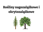 nagozalążkowe + okrytozalążkowe 2 KLASA BIOLOGIA ROZSZERZONA