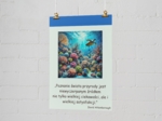 „Eko-inspiracje” – plakaty motywacyjne. Cytaty naukowców, aktywistów ekologicznych.