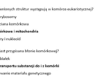 Test- budowa i funkcjonowanie komórki