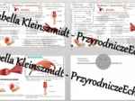 Minizestaw na temat „Budowa i rola mięśni” – sketchnotka + karta pracy w power point + gratisowy link do prezentacji multimedialnej niekomercyjnej wykonanej w genial.ly do indywidualnego pobrania i użycia do celów niekomercyjnych. Biologia 7, „Układ ruch