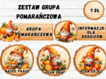 ZESTAW GRUPA POMARAŃCZOWA