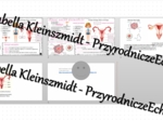 Minizestaw na temat „Żeński układ rozrodczy” – sketchnotka + karta pracy w power point + gratisowy link do prezentacji multimedialnej niekomercyjnej wykonanej w genial.ly do indywidualnego pobrania i użycia do celów niekomercyjnych. Biologia 7, „Rozmnaża