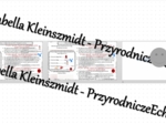 Minizestaw na temat „Równowaga wewnętrzna organizmu-homeostaza” – sketchnotka + karta pracy w power point + gratisowy link do prezentacji multimedialnej niekomercyjnej wykonanej w genial.ly do indywidualnego pobrania i użycia do celów niekomercyjnych. Bi