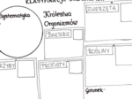 Klasyfikacja organizmów (karta pracy)