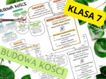 Biologia 7. Budowa kości - sketchnotka, notatka wizualna + wklejka do zeszytu