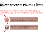 Układ oddechowy KLASA 2 PODSTAWA BIOLOGIA