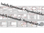 Zestaw sketchnotek i kart pracy + gratisowe linki do prezentacji multimedialnych niekomercyjnych wykonanych w genial.ly do indywidualnego pobrania i użycia do celów niekomercyjnych. Chemia 7 lub 8, „Kwasy”