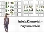 Notatki okienkowe „Drzewa i krzewy iglaste”, „Nagonasienne” w pdf. Biologia 5 dział „Różnorodność roślin”.