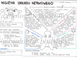 Klasa 7 - Higiena układu nerwowego - sketchnotka