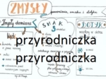 Klasa 7. Biologia. Zmysły