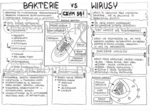 Klasa 5 - Wirusy i bakterie - notatka graficzna
