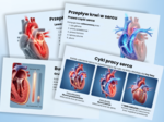 BUDOWA I DZIAŁANIE SERCA - prezentacja, lekcja - klasa 7, quiz, biologia, Puls Życia