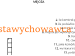Mejoza - krzyżówka