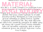 Domino - własności czworokątów kl.5,6,7,8