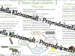 Sketchnotka - notatka „Materia i energia w ekosystemie” wykonana w power point do edycji. Biologia 8; „EKOLOGIA”