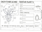 okrytonasienne - budowa kwiatu - klasa 5 - karta pracy