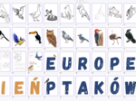 Europejski Dzień Ptaków - oprawa wydarzenia szkolnego