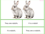 Karty 'It is' vs 'They are': multiple choice (Pets vocab)