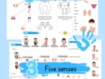 Body parts and five senses.