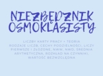 NIEZBĘDNIK ÓSMOKLASISTY - LICZBY - TEORIA + KARTY PRACY