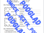 Zaimek / części mowy / sprawdzian / kartkówka / karta pracy / KLUCZ ODPOWIEDZI