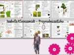 Zestaw sketchnotek/książeczek/notatek/wklejek/ściąg dla ucznia i przypomnień dla nauczyciela/edukacja domowa w pdf do całego działu. Biologia 5, dział „Różnorodność roślin”. Nowość 2024/2025.