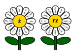 Ortograficzne kwiatki – gra ortograficzna