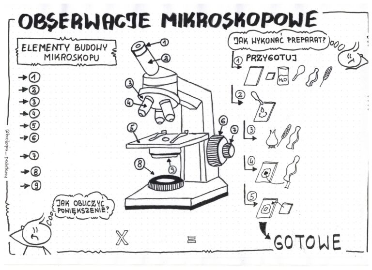 Obserwacje mikroskopowe klasa 5 KP Złoty nauczyciel